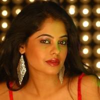 Bindhu Madhavi Hot Photo Shoot Pictures | Picture 93526